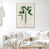 palme02-c-l_2