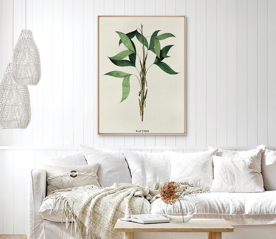 Palme D'Or Specimen II (Canvas)