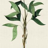 palme02-c-l_3