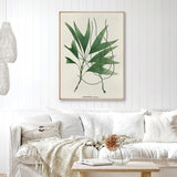 palme03-c-l_2
