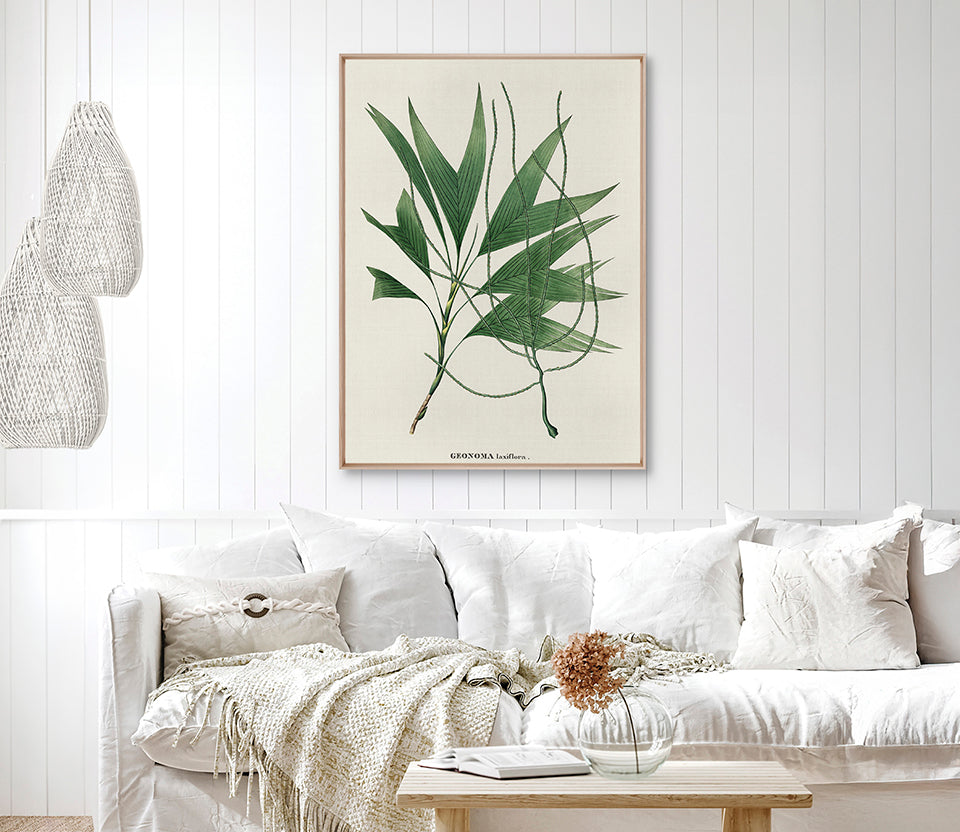 Palme D'Or Specimen III (Canvas)