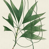 palme03_3