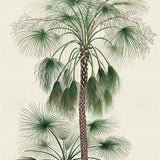 palme04-c-l_3