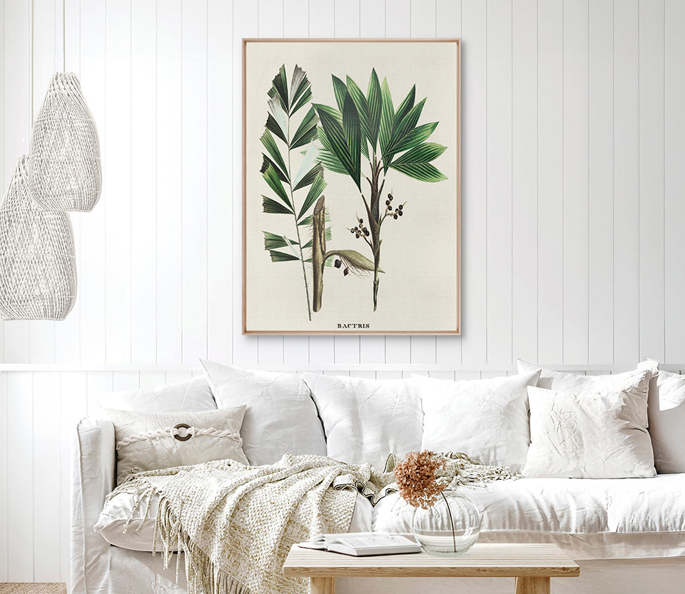 Palme D'Or Specimen V (Canvas)