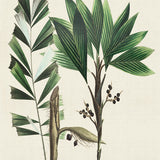 palme05_3