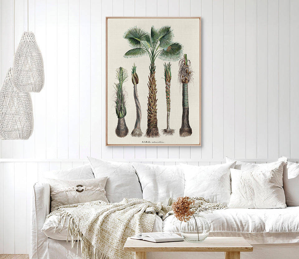 Palme D'Or Specimen VI (Canvas)