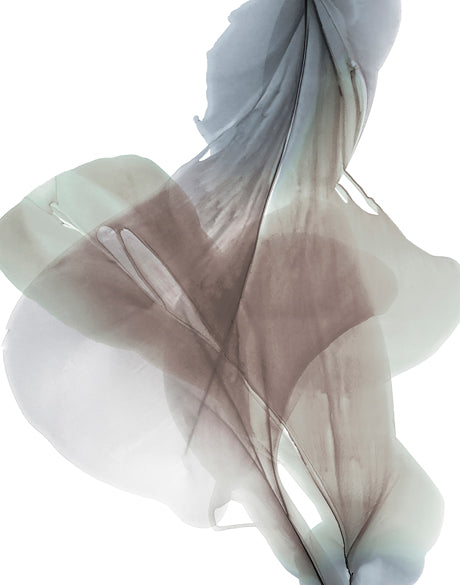 Foliage Sculpture I (Canvas)