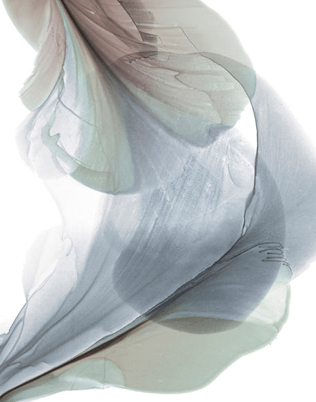 Foliage Sculpture III (Canvas)