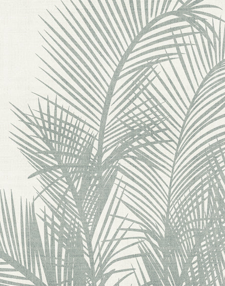Pavilion Palm IV