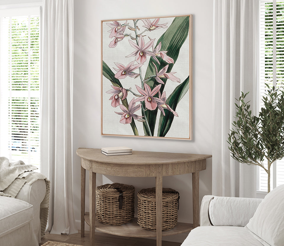 Orchid Beauty I (Canvas)
