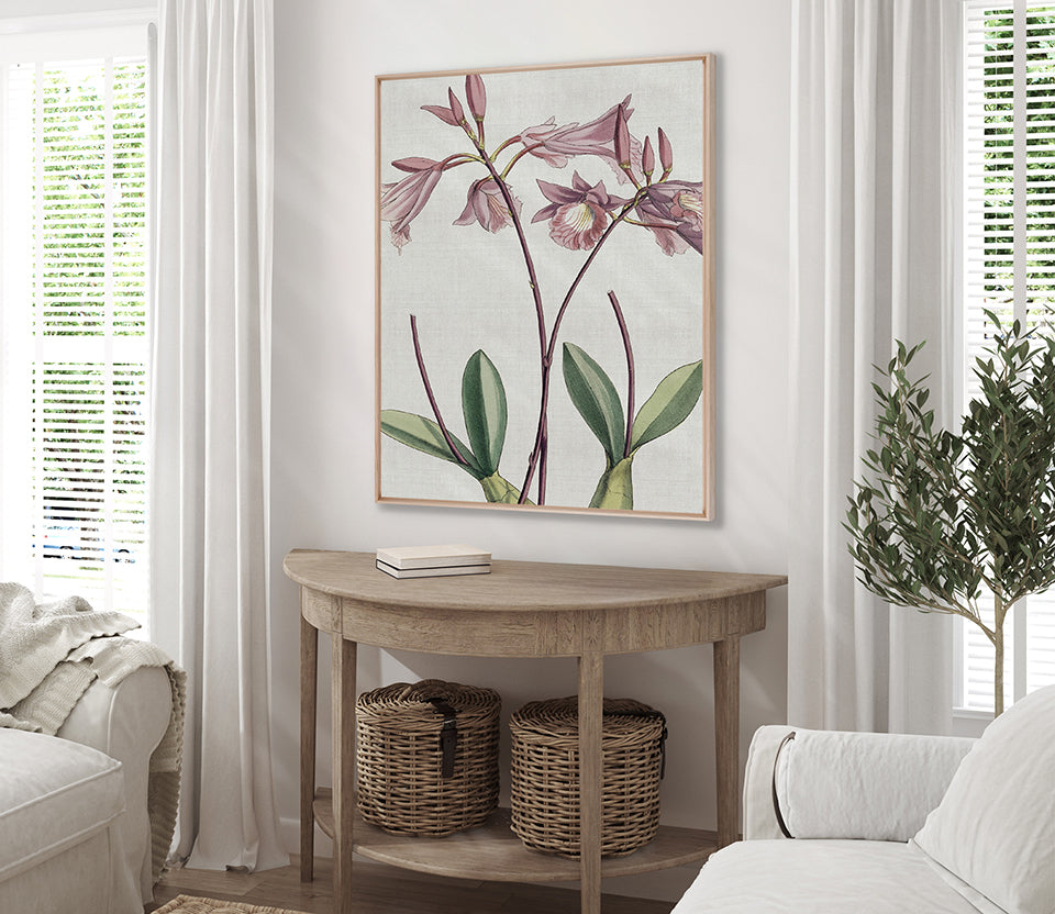 Orchid Beauty V (Canvas)