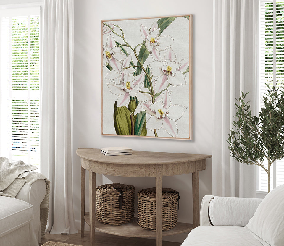 Orchid Beauty VI (Canvas)