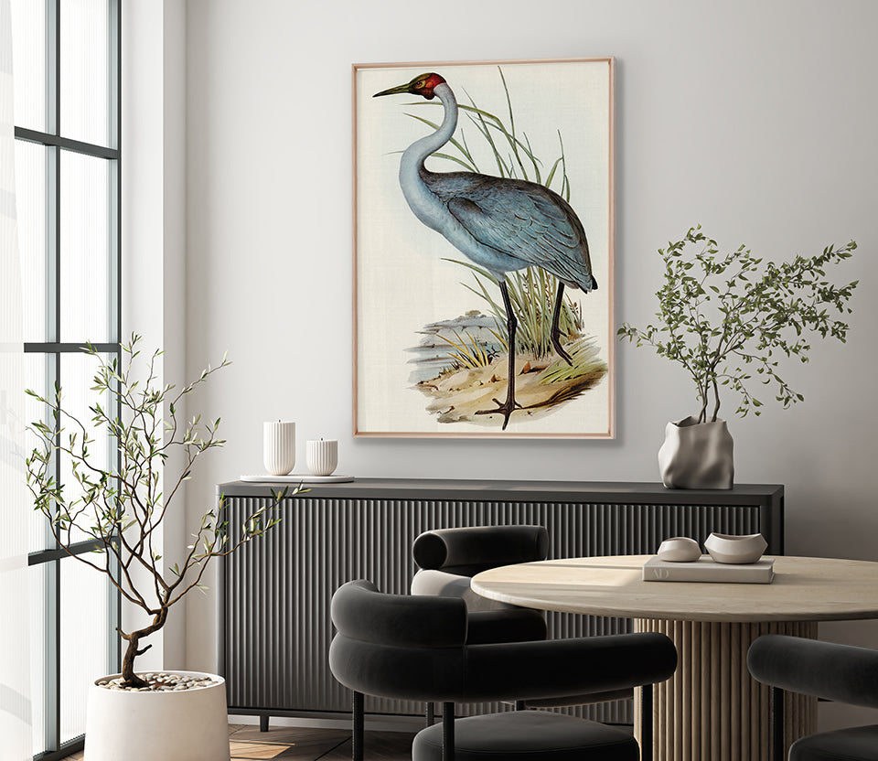 Pembroke Bird IV (Canvas)
