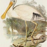 pem06_3