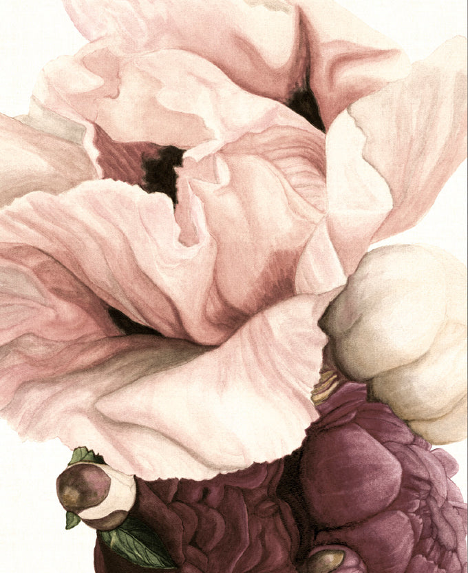 Peonies & Roses IV (Canvas)