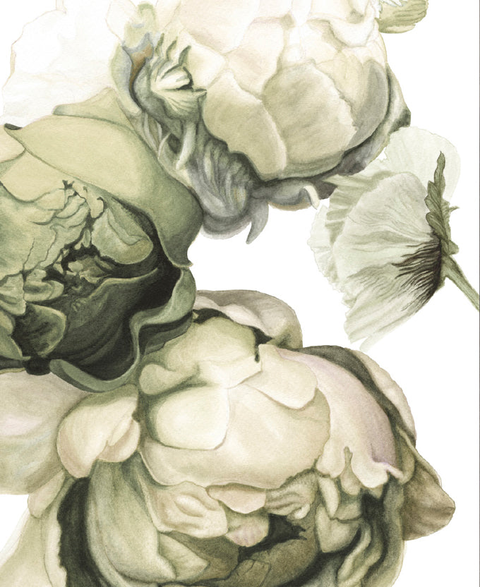 Peonies & Roses VII