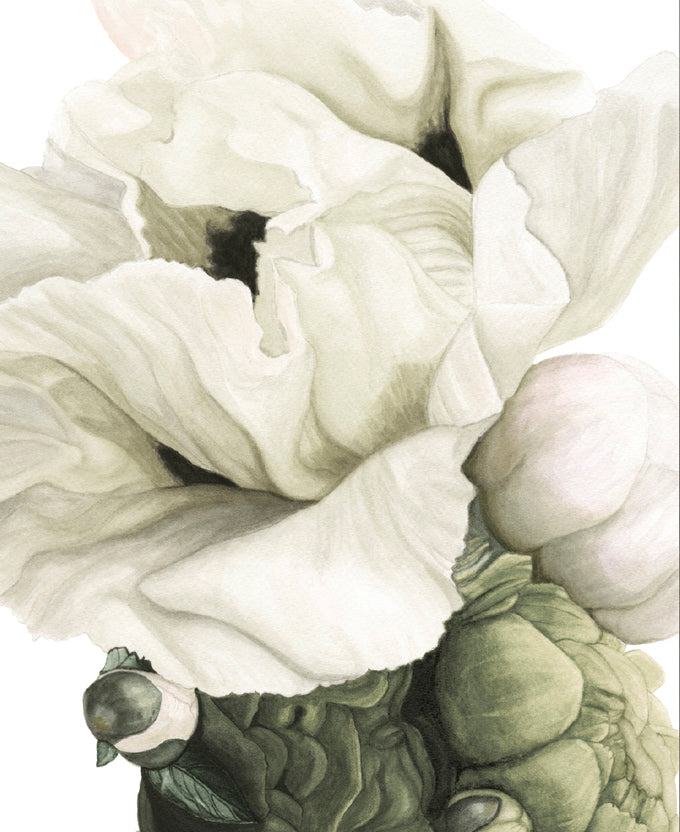 Peonies & Roses VIII (Canvas)
