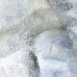 petra02-c_3
