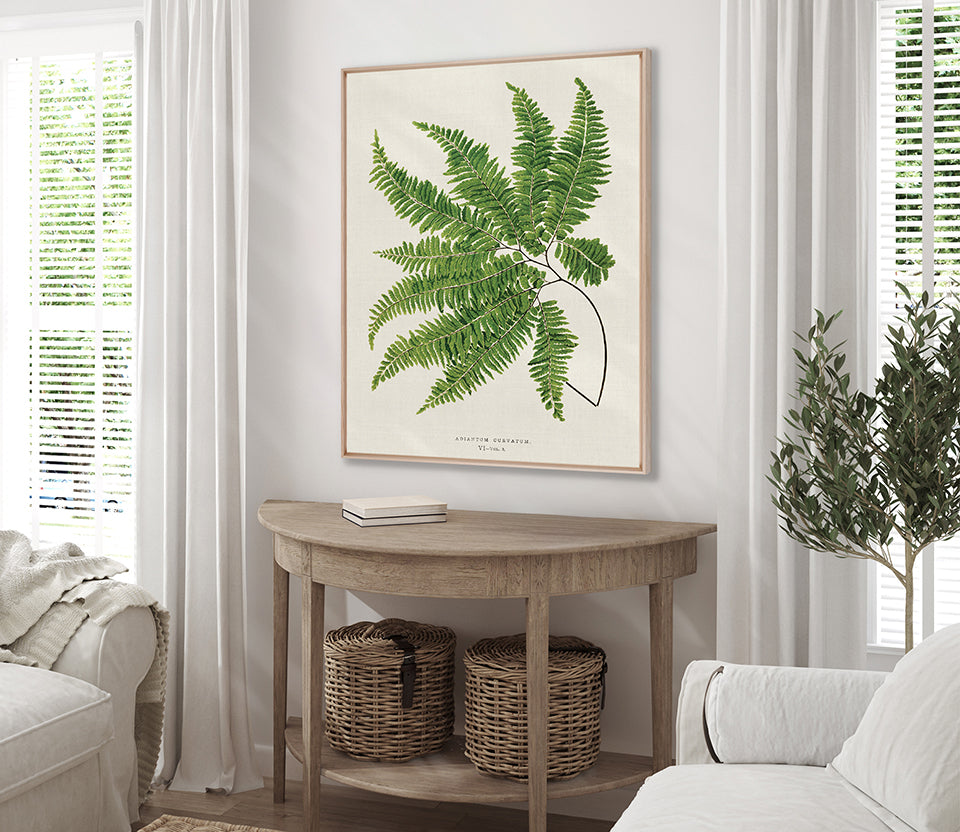 Lush Fern I (Canvas)