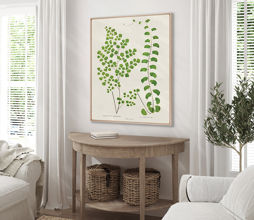 Lush Fern II (Canvas)