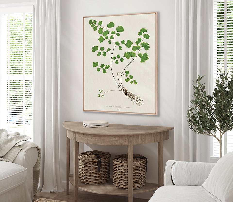 Lush Fern III (Canvas)