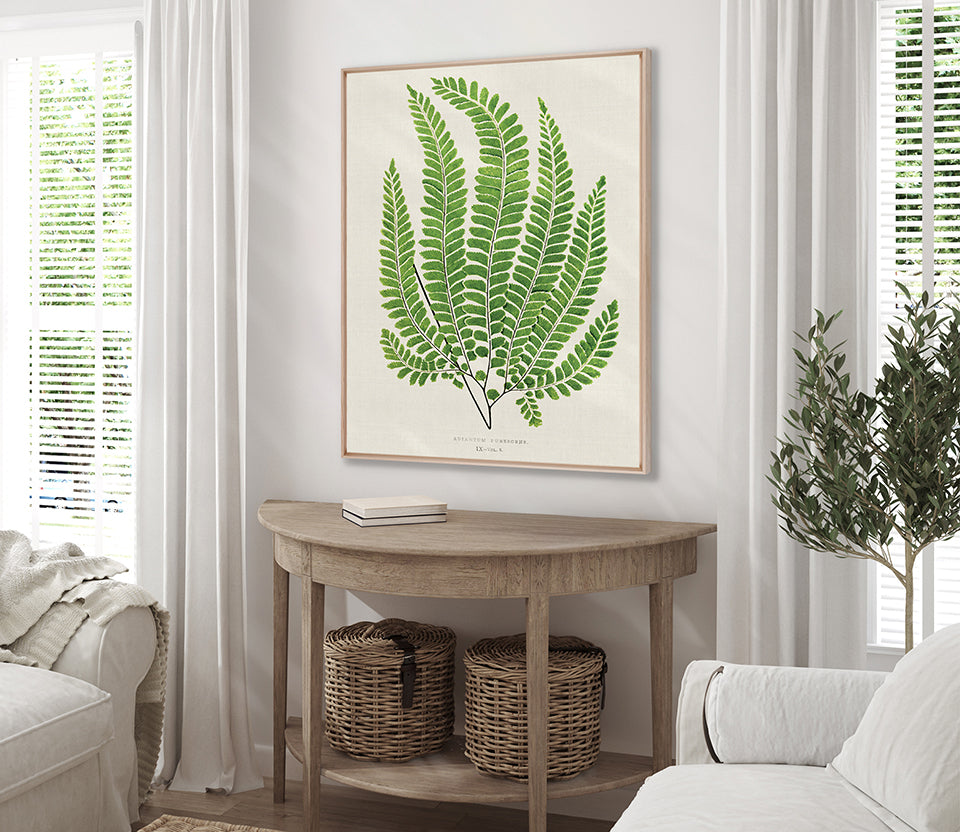 Lush Fern IV (Canvas)