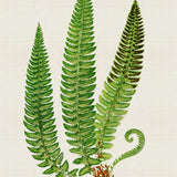 pf05_3