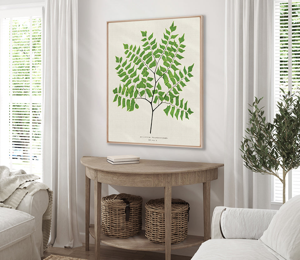 Lush Fern VI (Canvas)