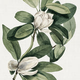 phill04_3