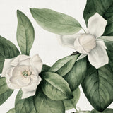 phill06-c_3