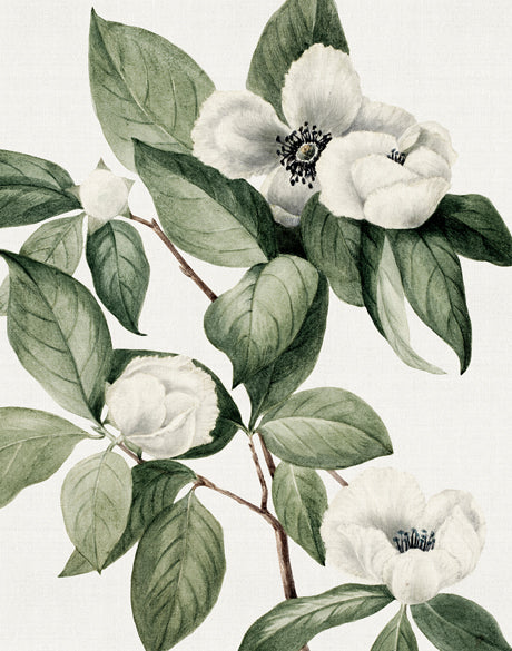 Phillipson Floral XI (Canvas)