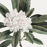 phill12-c_3