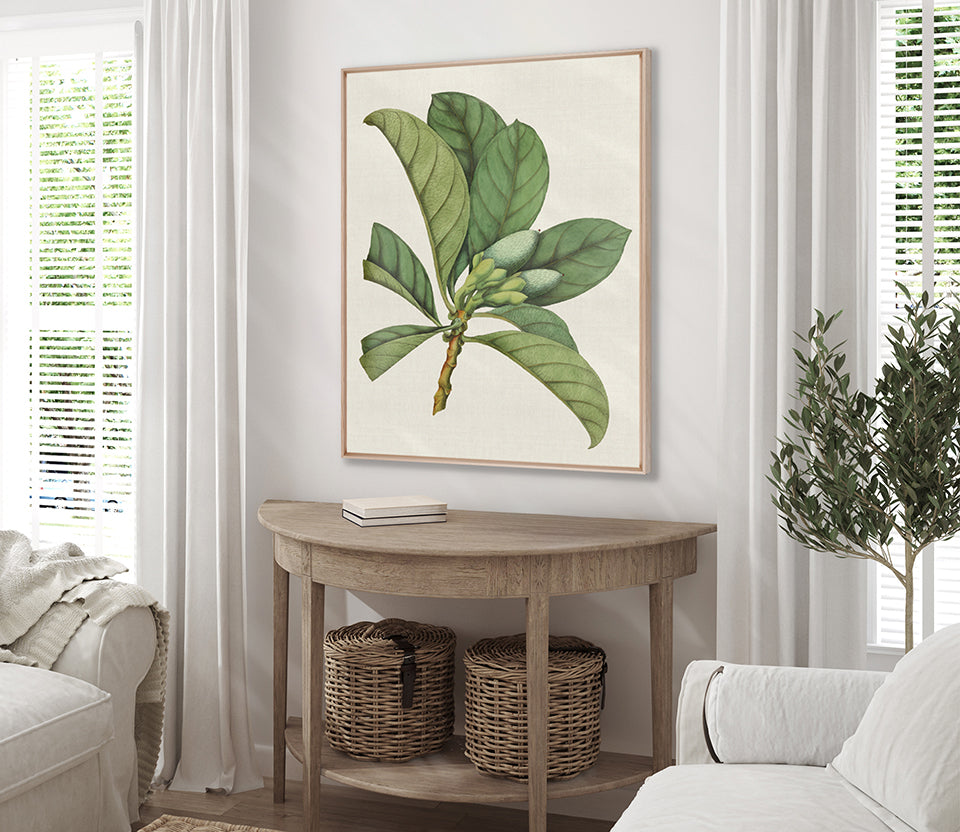 Exotic Garden II (Canvas)