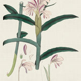 plant03-c_3