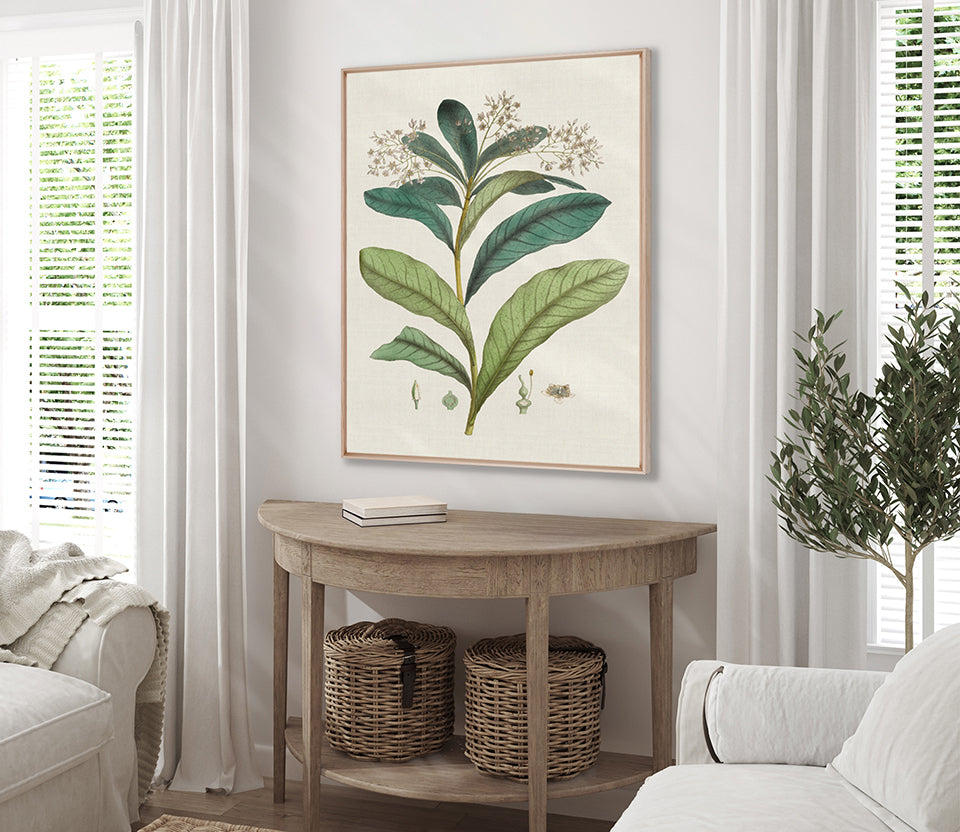 Exotic Garden IV (Canvas)
