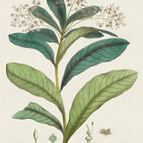 plant04_3