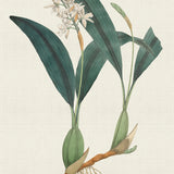 plant05_3