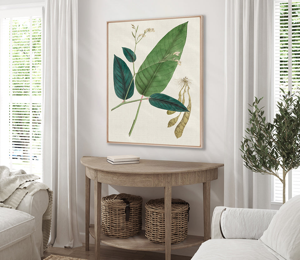Exotic Garden VI (Canvas)