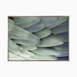 plume03-c-l_4