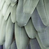 plume03_3