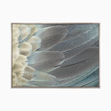 plume04-c-l_4