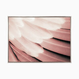 plume05-c-l_4