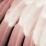 plume05_3