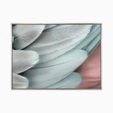 plume06-c-l_4