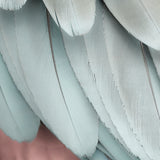 plume06_3