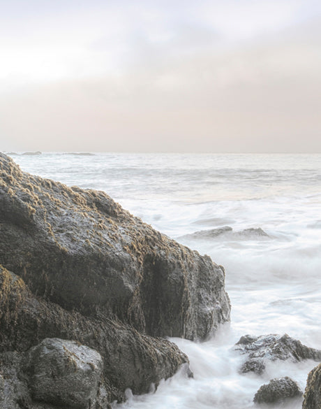 Roco Bay I (Canvas)