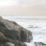 rocob01_3