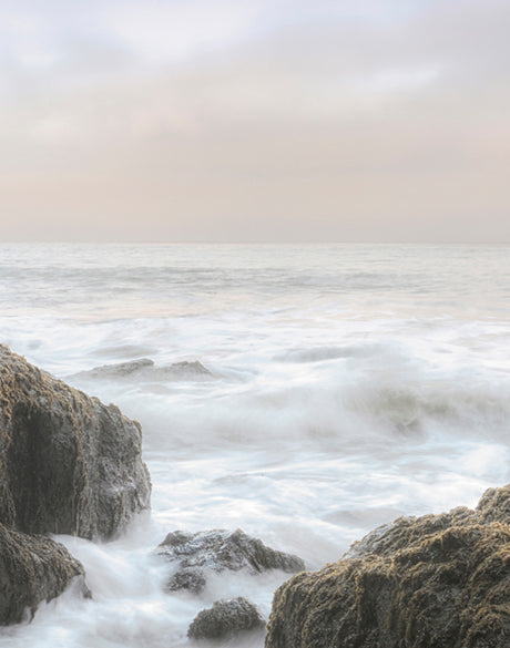 Roco Bay III