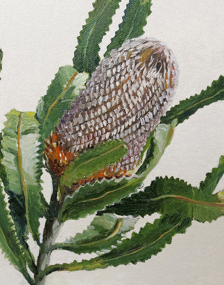 Australian Native V