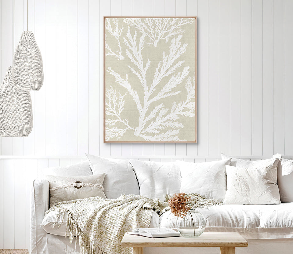 Seaweed Harmony VI (Canvas)